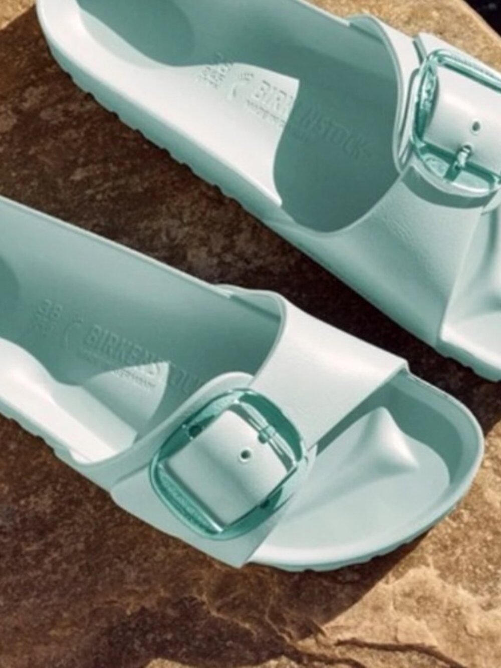 Birkenstock Madrid Big Buckle Sandal - Women's
